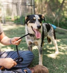 Zoey image 1