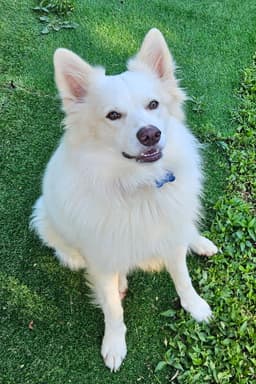 Tucker Of Md image 2