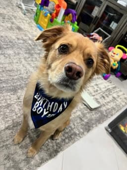 Tucker image 2