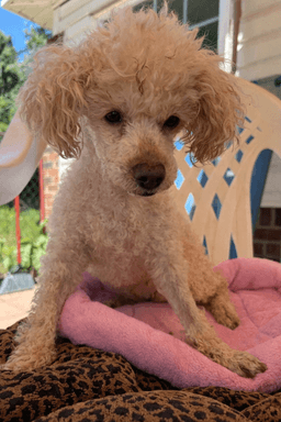 Queenie May image 3