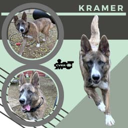 Kramer image 1
