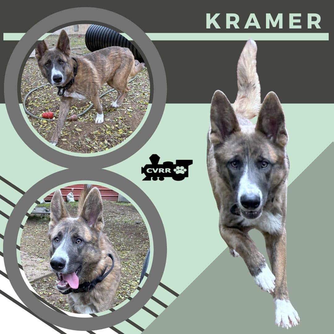 Kramer - Shepherd