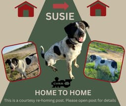 Susie Home To Home image 1