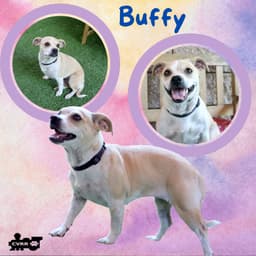 Buffy image 1
