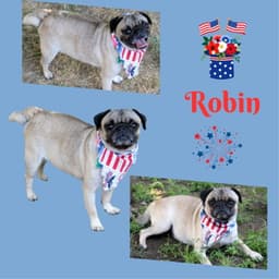 Robin Ritzy image 1