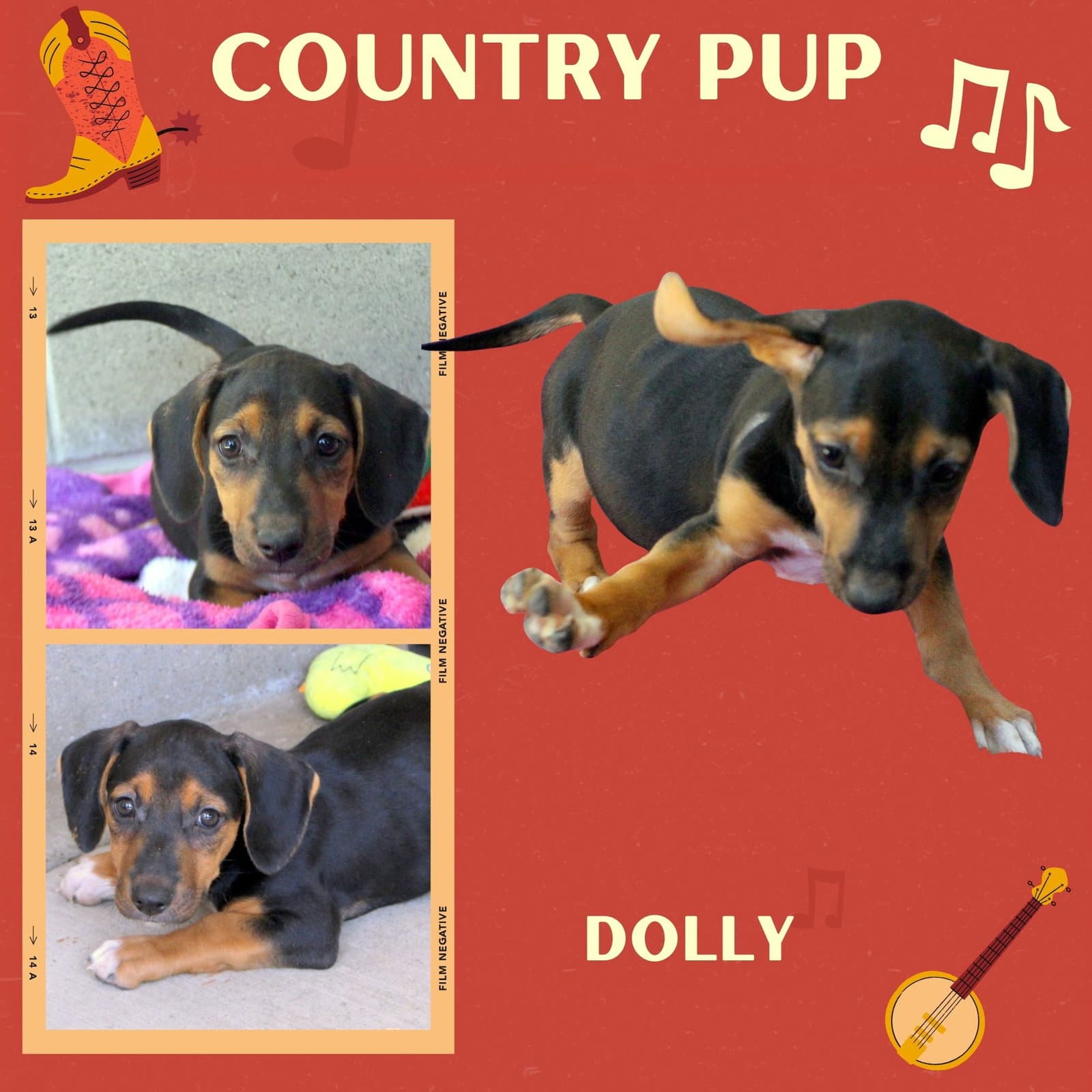 Dolly Puppy - Hound