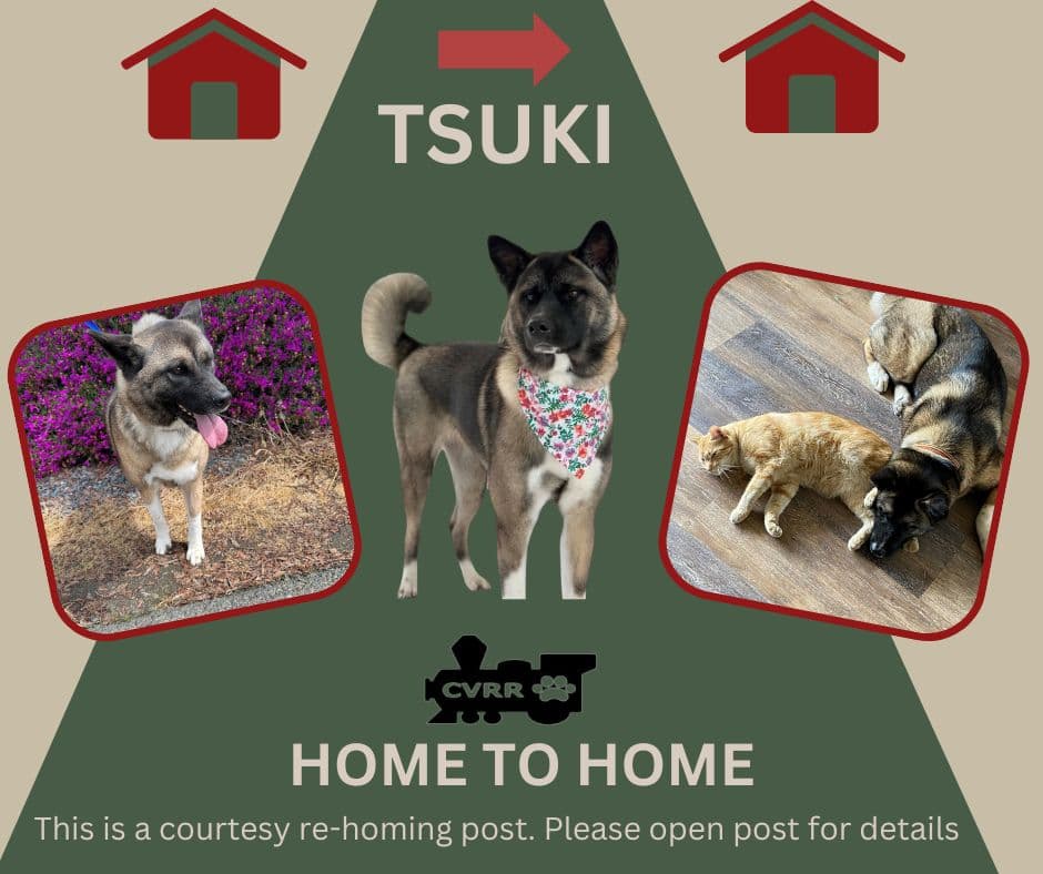 Tsuki Home To Home - Akita