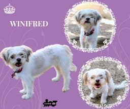 Winifred Ritzy image 1