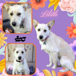Lilith image 1