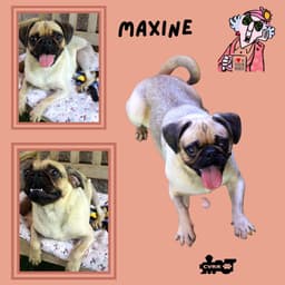 Maxine Ritzy image 1