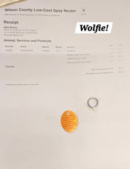 Wolfie image 3