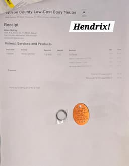 Hendrix image 3