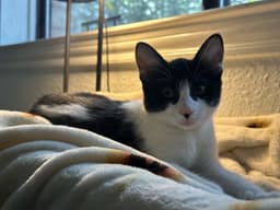 Zoe image 2