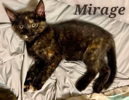 Mirage image 1