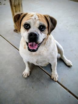 Fiona image 1