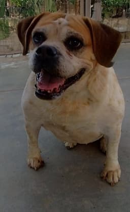 Fiona image 3