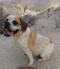Fiona image 4