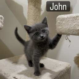 John image 1