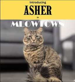 Asher  Peter Bonded image 1