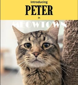 Asher  Peter Bonded image 2