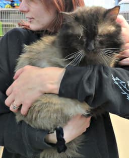 Lennox image 2