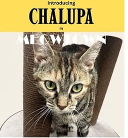Chalupa image 1