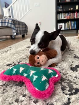 Audrey image 4