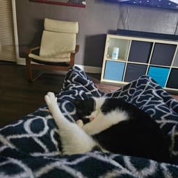 Oreo image 3