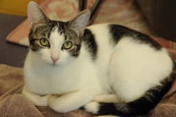 Kevin image 2