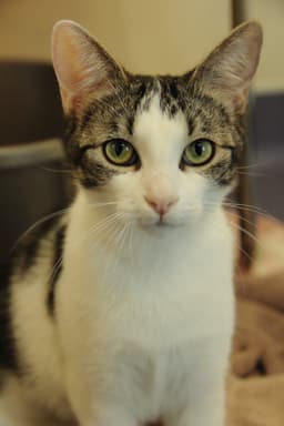 Kevin image 3