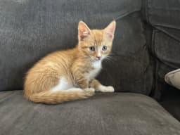 Kevin image 3