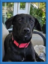 Thelma image 1