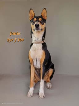 Janie image 4
