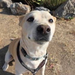 Buster image 2