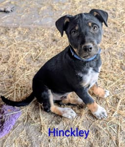 Hinckley image 1