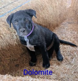 Dolomite image 1