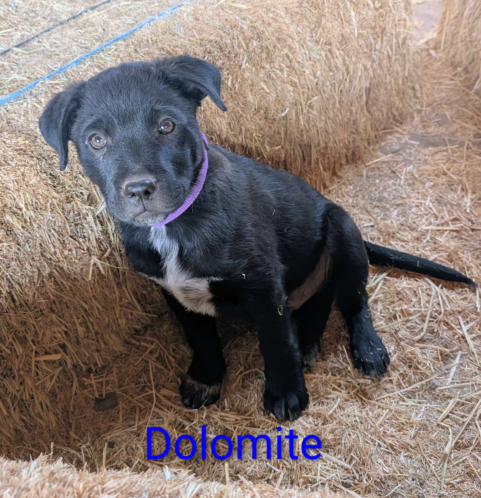 Dolomite - Unknown