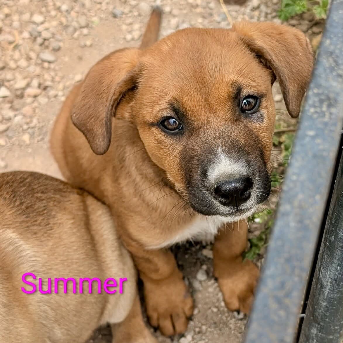 Summer - Unknown