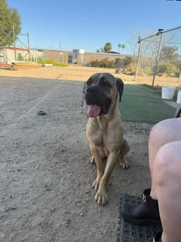 Lexie image 3