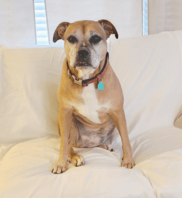 Delilah image 2