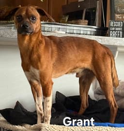 Grant image 3