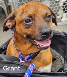 Grant image 1