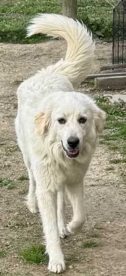 Marlee image 1