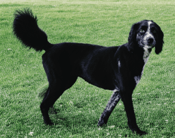 Marley Girl image 2