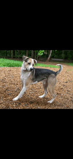 Max image 3