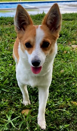 Daisy Belle image 3