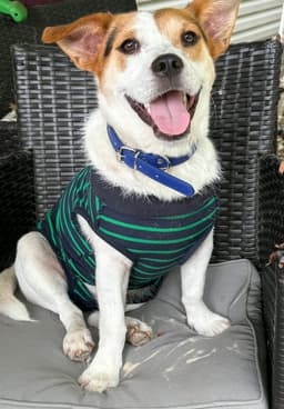 Eddie image 2