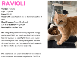 Ravioli Sa Petite Pirate image 4