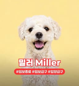 Miller image 1