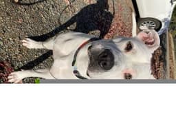 Kate image 1